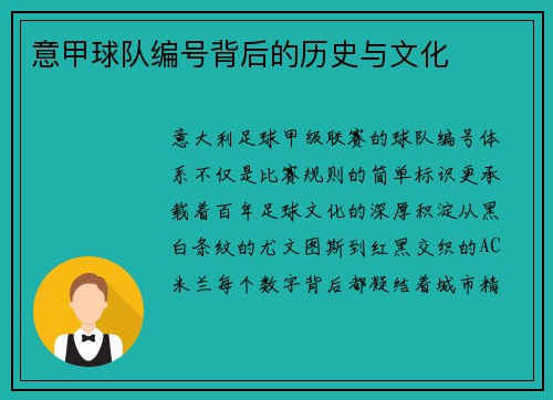 意甲球队编号背后的历史与文化