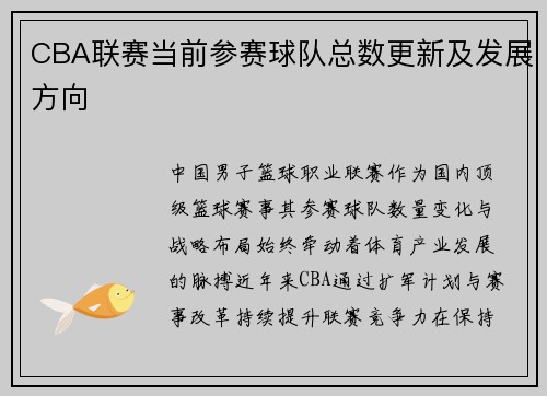 CBA联赛当前参赛球队总数更新及发展方向
